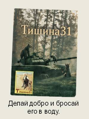 Обложка книги «Тишина31»
